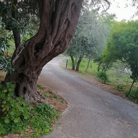 Casa vacanze Magistro