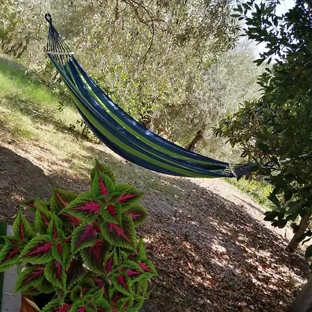 Casa vacanze Magistro Patti